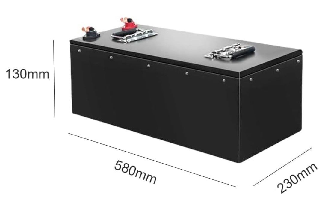 48V 100Ah LiFePO4 batteria al litio 3000+ ciclo profondo con potenza di riserva BMS per E triciclo auto elettrica